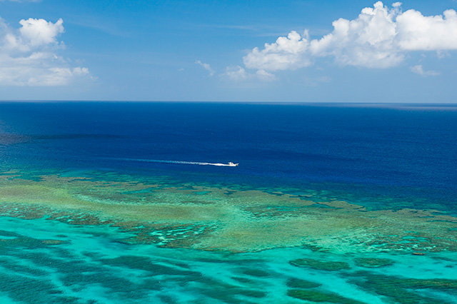 だんじゅかりゆし：イメージ